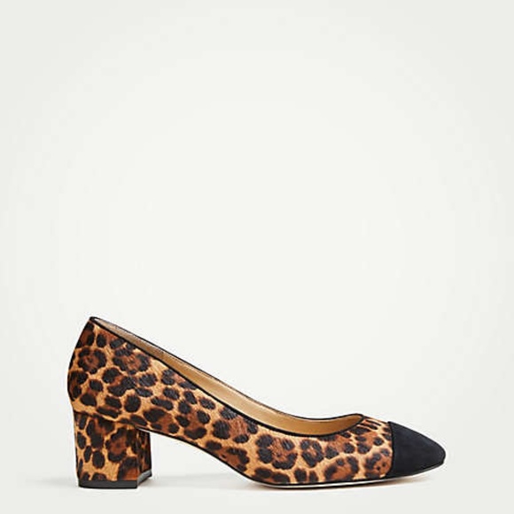 NIB Ann Taylor Odelia Leopard Haircalf Cap Toe Heels